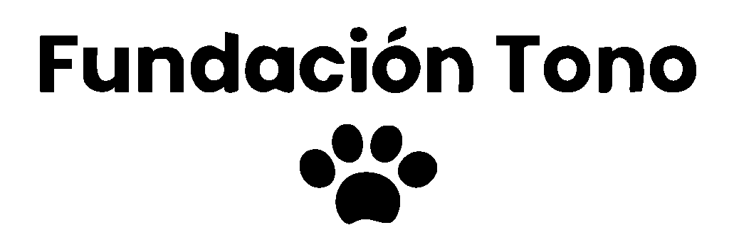 fundaciontonoac.com